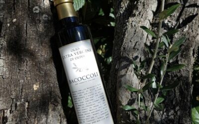 Bacoccoli Novello – Olivoljefesten du inte vill missa!